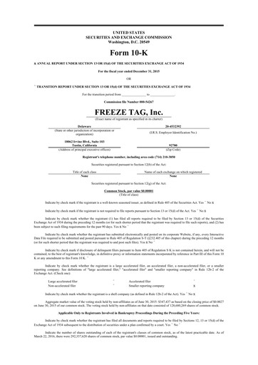 Thumbnail Freeze Tag 10-K Annual Report 2015