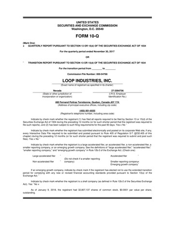 Miniature Loop Industries
 10-Q Rapport trimestriel  