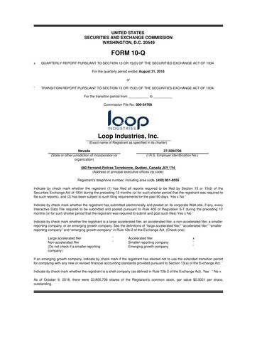 Miniature Loop Industries
 10-Q Rapport trimestriel  