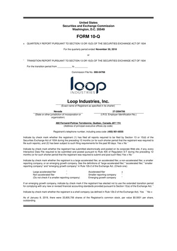 Miniature Loop Industries
 10-Q Rapport trimestriel  