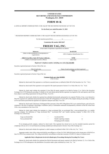 Thumbnail Freeze Tag 10-K Annual Report 2018