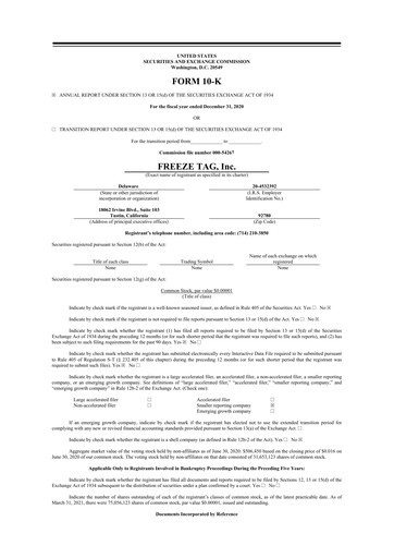 Thumbnail Freeze Tag 10-K Annual Report 2020