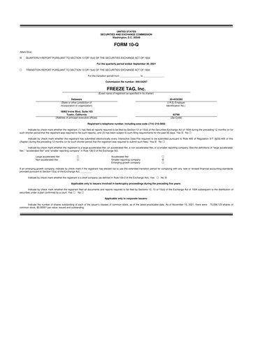 Vorschaubild Freeze Tag 10-Q Quartalsbericht 2021 