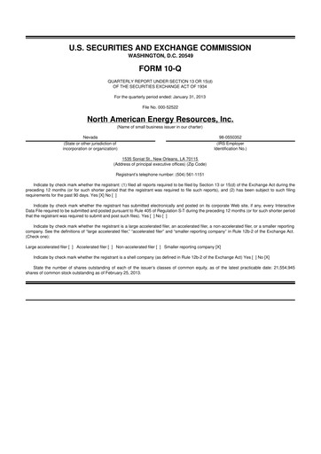 Thumbnail SurgePays 10-Q Quarterly Report FY2013 