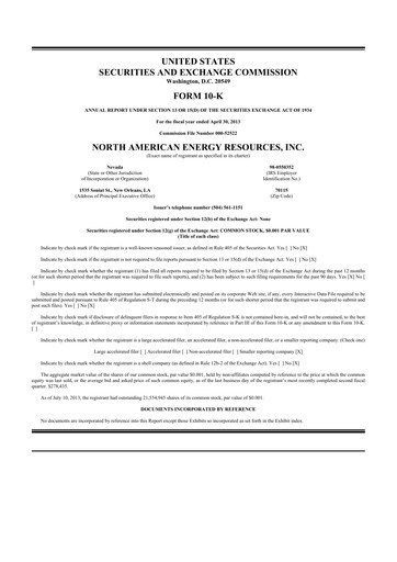 Thumbnail SurgePays 10-K Annual Report 2013