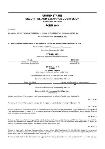 Thumbnail TON Strategy Co. 10-K Annual Report 2017