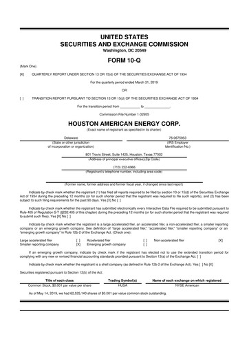 Thumbnail Houston American Energy 10-Q Quarterly Report FY2019 