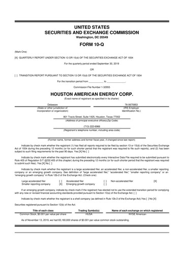 Thumbnail Houston American Energy 10-Q Quarterly Report FY2019 
