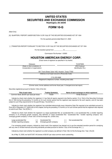 Thumbnail Houston American Energy 10-Q Quarterly Report FY2020 