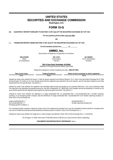 Thumbnail Outdoor Holding Company
 10-Q Quarterly Report FY 