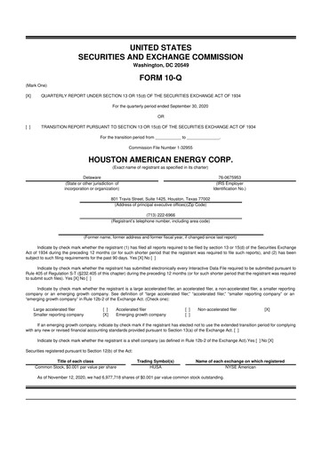 Thumbnail Houston American Energy 10-Q Quarterly Report FY2020 