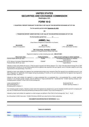 Thumbnail Outdoor Holding Company
 10-Q Quarterly Report FY 