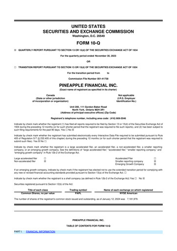 Thumbnail Pineapple Financial 10-Q Quarterly Report FY2024 