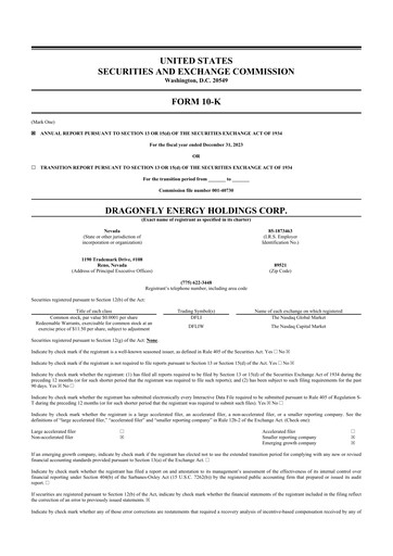 Vorschaubild Dragonfly Energy 10-K Jahresbericht 2023