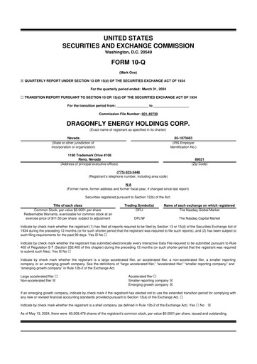 Miniature Dragonfly Energy 10-Q Rapport trimestriel 2024 