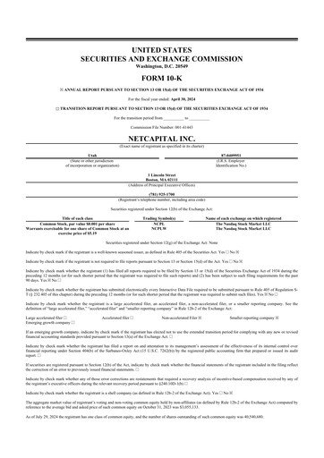 Vorschaubild Netcapital 10-K Jahresbericht 2024