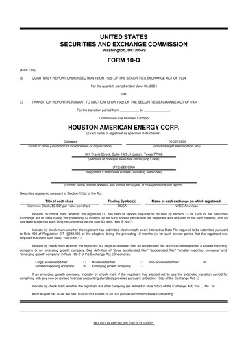 Thumbnail Houston American Energy 10-Q Quarterly Report FY2024 