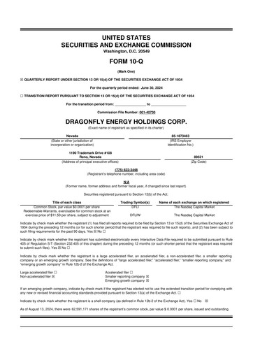 Miniature Dragonfly Energy 10-Q Rapport trimestriel 2024 