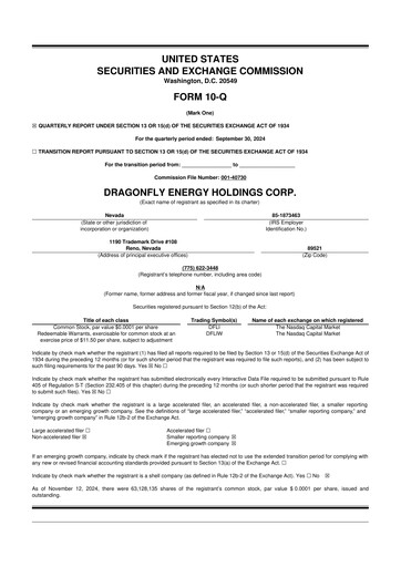 Miniature Dragonfly Energy 10-Q Rapport trimestriel 2024 