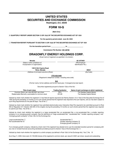 Miniature Dragonfly Energy 10-Q Rapport trimestriel 2025 