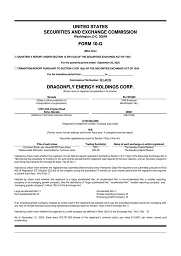 Miniature Dragonfly Energy 10-Q Rapport trimestriel 2025 