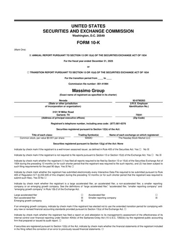 Thumbnail Massimo Motor 10-K Annual Report 