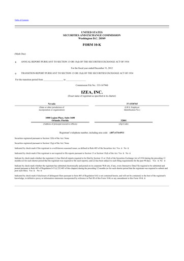 Thumbnail IZEA Worldwide
 10-K Annual Report 2012