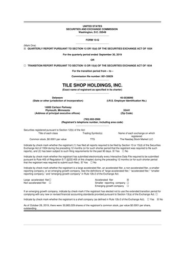 Thumbnail Tile Shop Holdings 10-Q Quarterly Report FY2019 