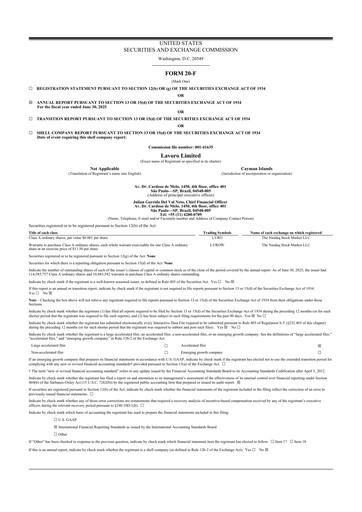 Miniature Lavoro 20-F Rapport annuel 2025