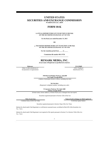 Thumbnail Remark Holdings 10-K Annual Report 2013