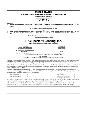 Vorschaubild Sixth Street Specialty Lending 10-Q Quartalsbericht  