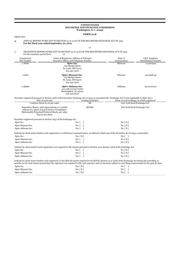Miniature Spire Inc. 10-K Rapport annuel 