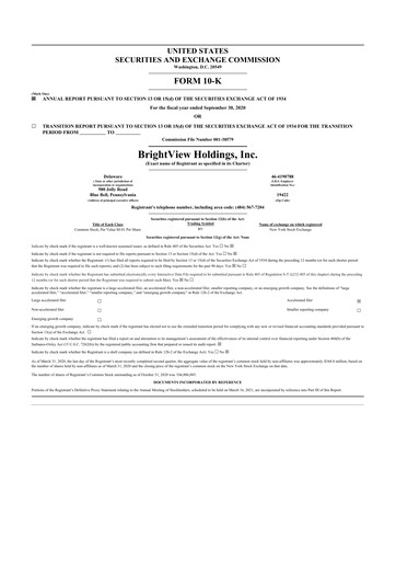 Thumbnail BrightView
 10-K Annual Report 2020