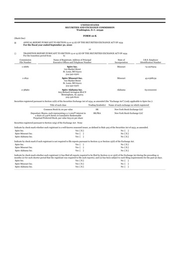 Miniature Spire Inc. 10-K Rapport annuel 
