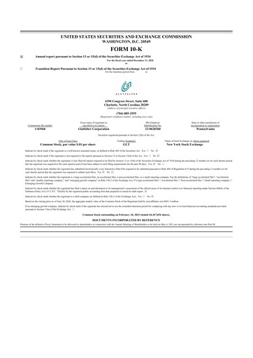 Thumbnail Magnera 10-K Annual Report 2020