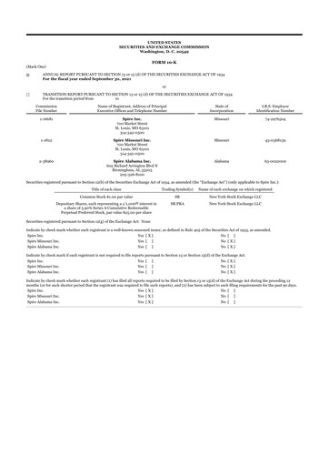 Miniature Spire Inc. 10-K Rapport annuel 