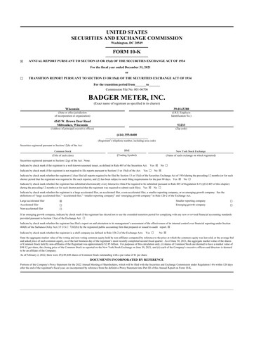 Thumbnail Badger Meter
 10-K Annual Report 2021