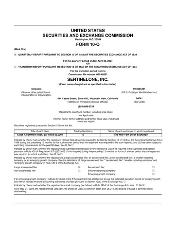 Thumbnail SentinelOne 10-Q Quarterly Report FY2025 
