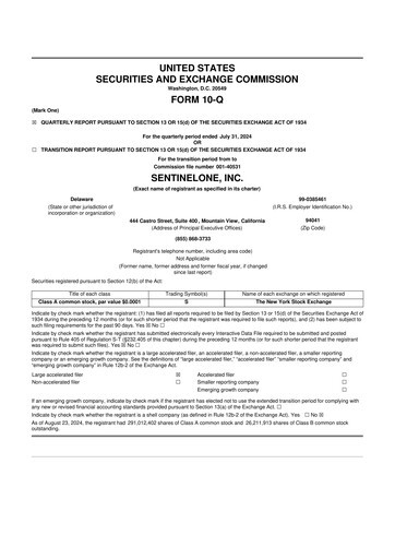 Thumbnail SentinelOne 10-Q Quarterly Report FY2025 