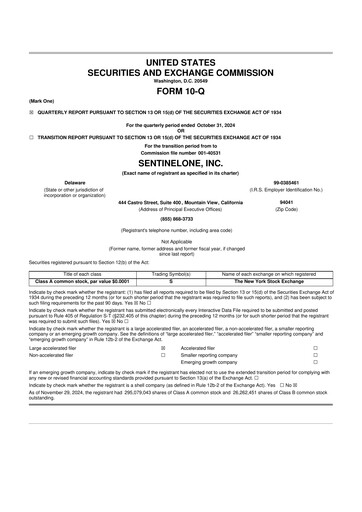 Thumbnail SentinelOne 10-Q Quarterly Report FY2025 