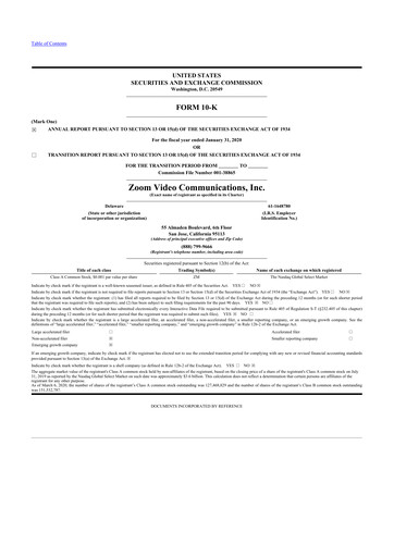 Thumbnail Zoom 10-K Annual Report 2020