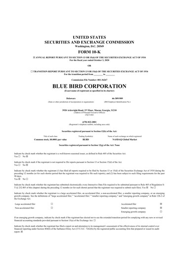 Thumbnail Blue Bird Corporation
 10-K Annual Report 2020