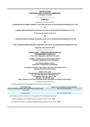 Thumbnail BrasilAgro 20-F Annual Report 2019