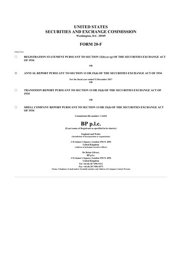 Miniature BP 20-F Rapport annuel 2017