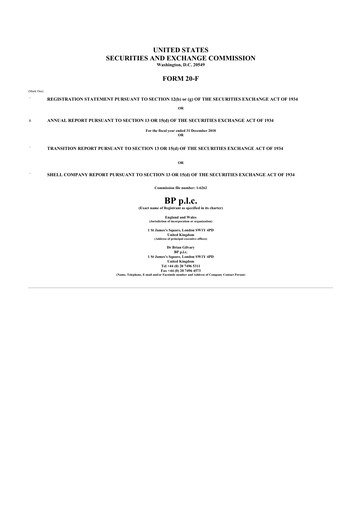 Miniature BP 20-F Rapport annuel 2018