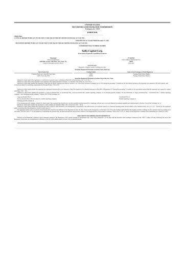 Miniature SuRo Capital 10-K Rapport annuel 