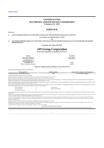 Thumbnail APi Group 10-K Annual Report 2024