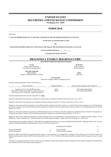 Vorschaubild Dragonfly Energy 10-K Jahresbericht 2024