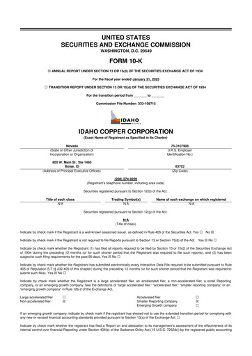 Thumbnail Idaho Copper Corporation 10-K Annual Report 2025