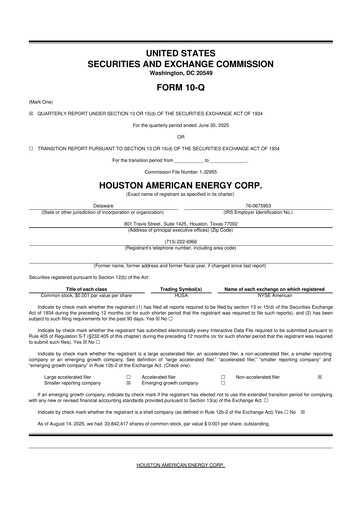 Thumbnail Houston American Energy 10-Q Quarterly Report FY2025 